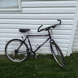 Bianchi Nyala 