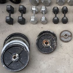 Weight Plates for Sale