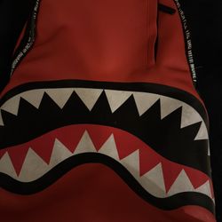 Spray Ground Backpack