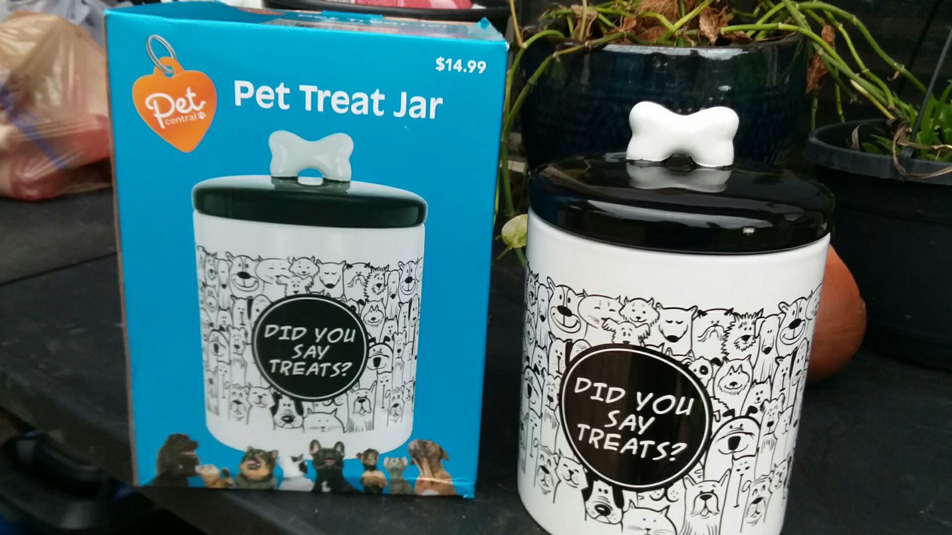 PET TREAT JAR