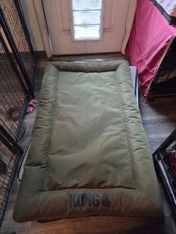 Kong brand XL dog beds