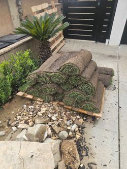 170 s/f ofFescue grass