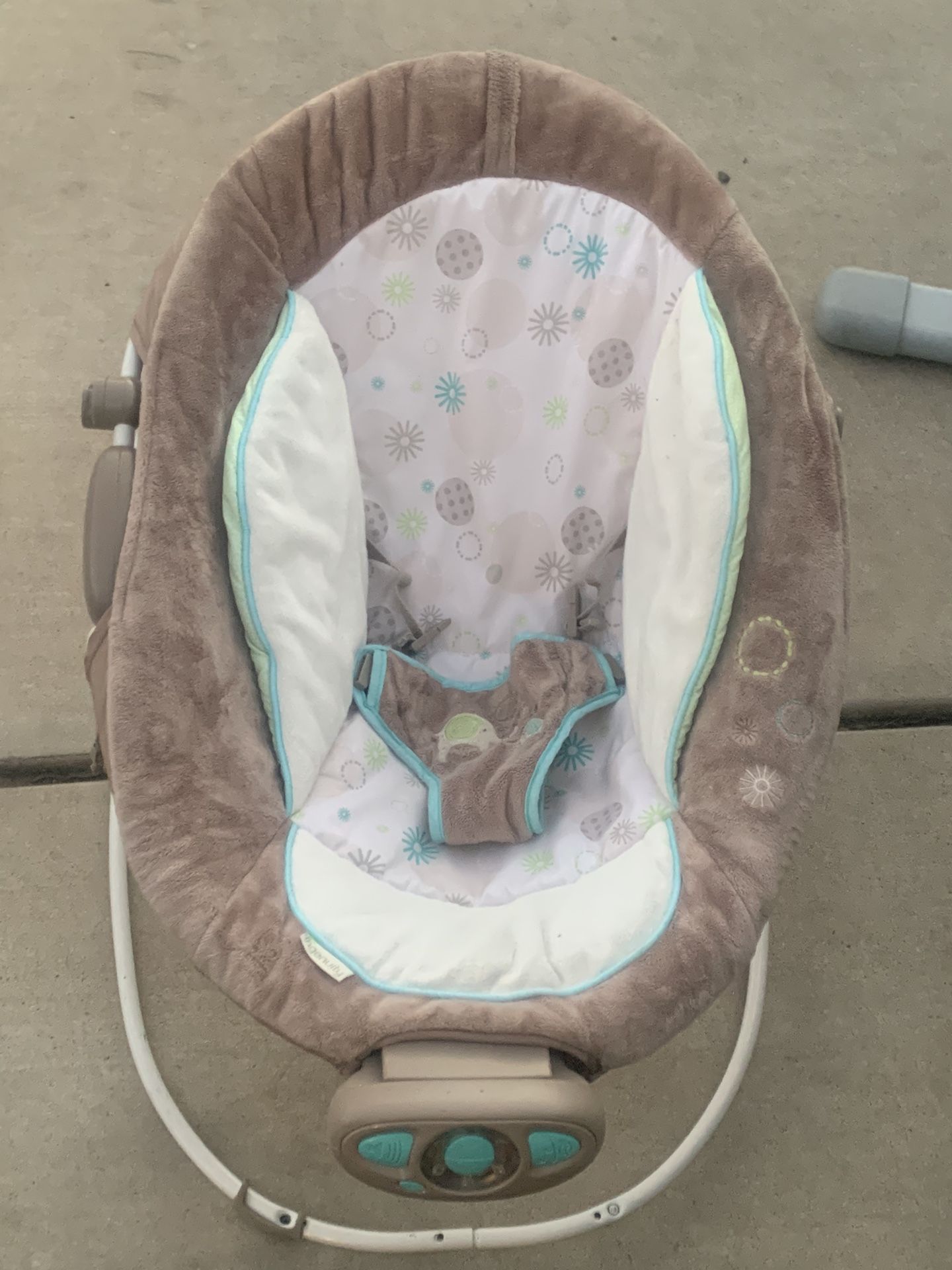 Ingenuity Baby Bouncer