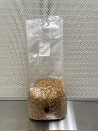 Grain Bags
