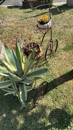 Garden tricycle