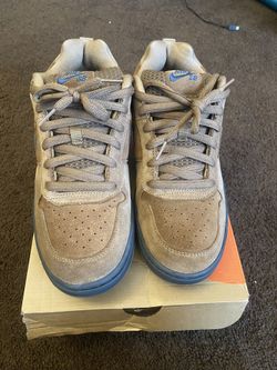 Nike SB Paul Rodriguez Taupe 