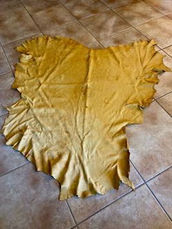 Buckskin Hide