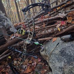Compound bow