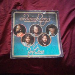 The Beach Boys 