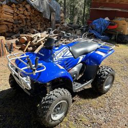 2004 Polaris Trail Boss 330
