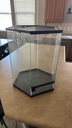 Reptile tank
