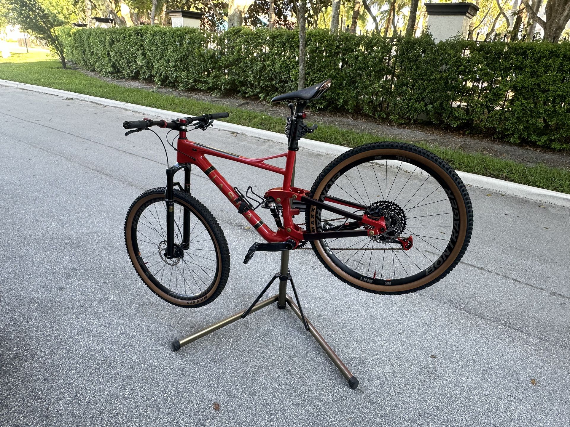 Custom Full Carbon Mountain Bike 29 Inch
