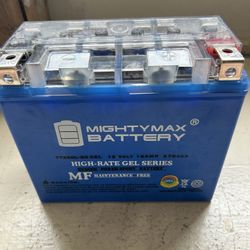 Mighty Max Battery YTX20L-BS GEL -12 Volt 18 AH, GEL Type, 270 CCA, Rechargeable Motorcycle Battery