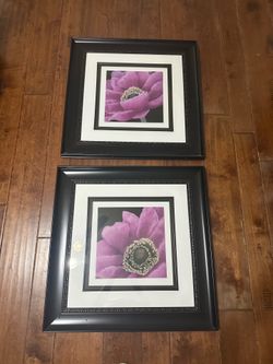 Two 27 x 27 Floral purple bloom pictures