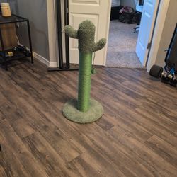 Cat Scratcher 