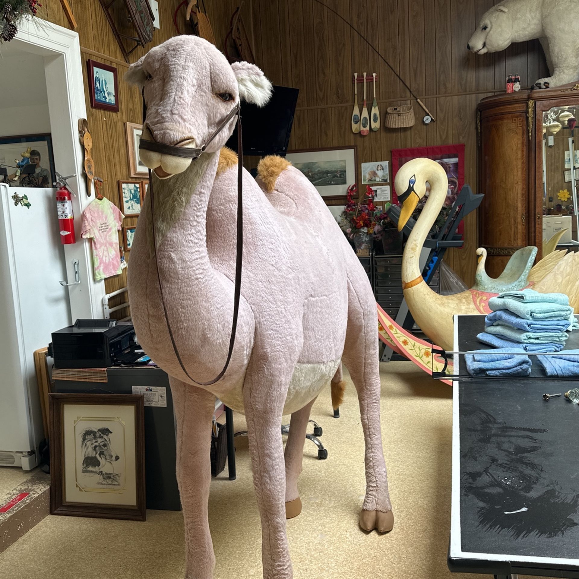 Life-size Camel