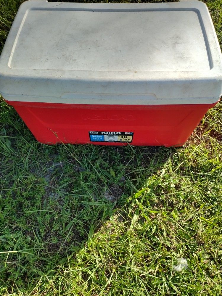 Cooler