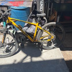 Giant Bike For Sale 