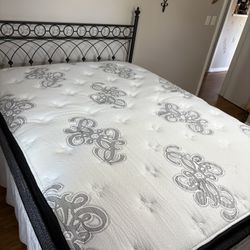 New Mattresses Sleep On It Tonight