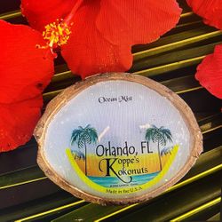 Scented coconut Shell candle