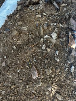 Free dirt