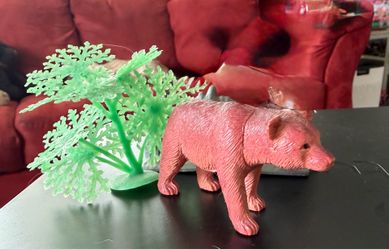 Bear in wilderness
