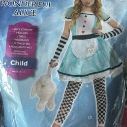 Alice costume