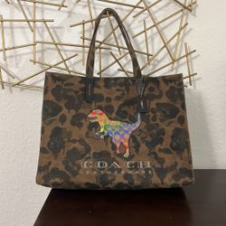 Coach Bag 