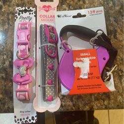 Dog Leash And Collar