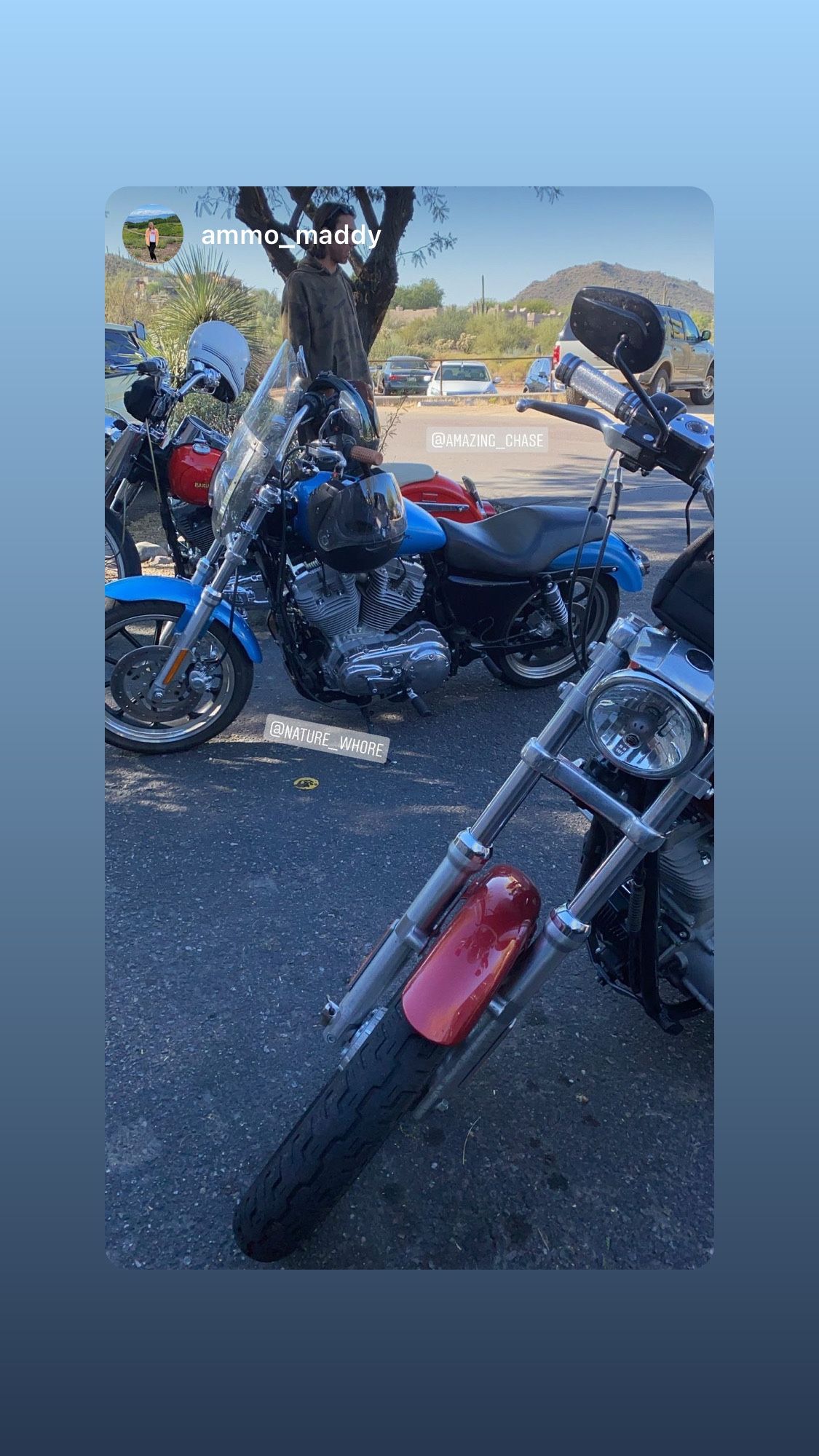 2011 Harley Davidson Sportster For Sale In Phoenix AZ OfferUp