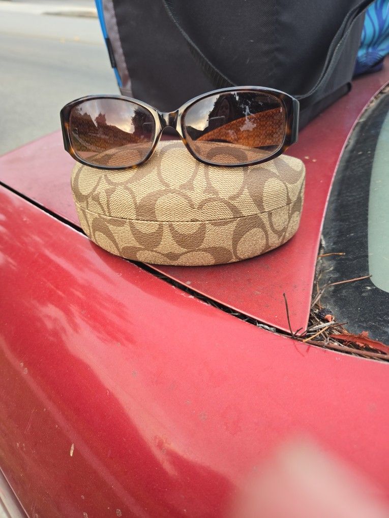 Suglasses