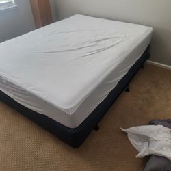 Queen Bed For Sale
