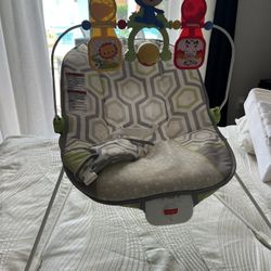Baby Bouncer 
