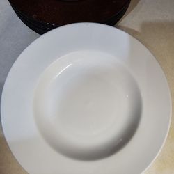 Large 12" dinner Plates/Bowls