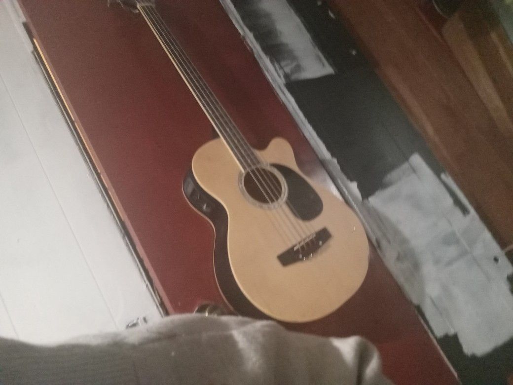 Acoustic Electric Bass