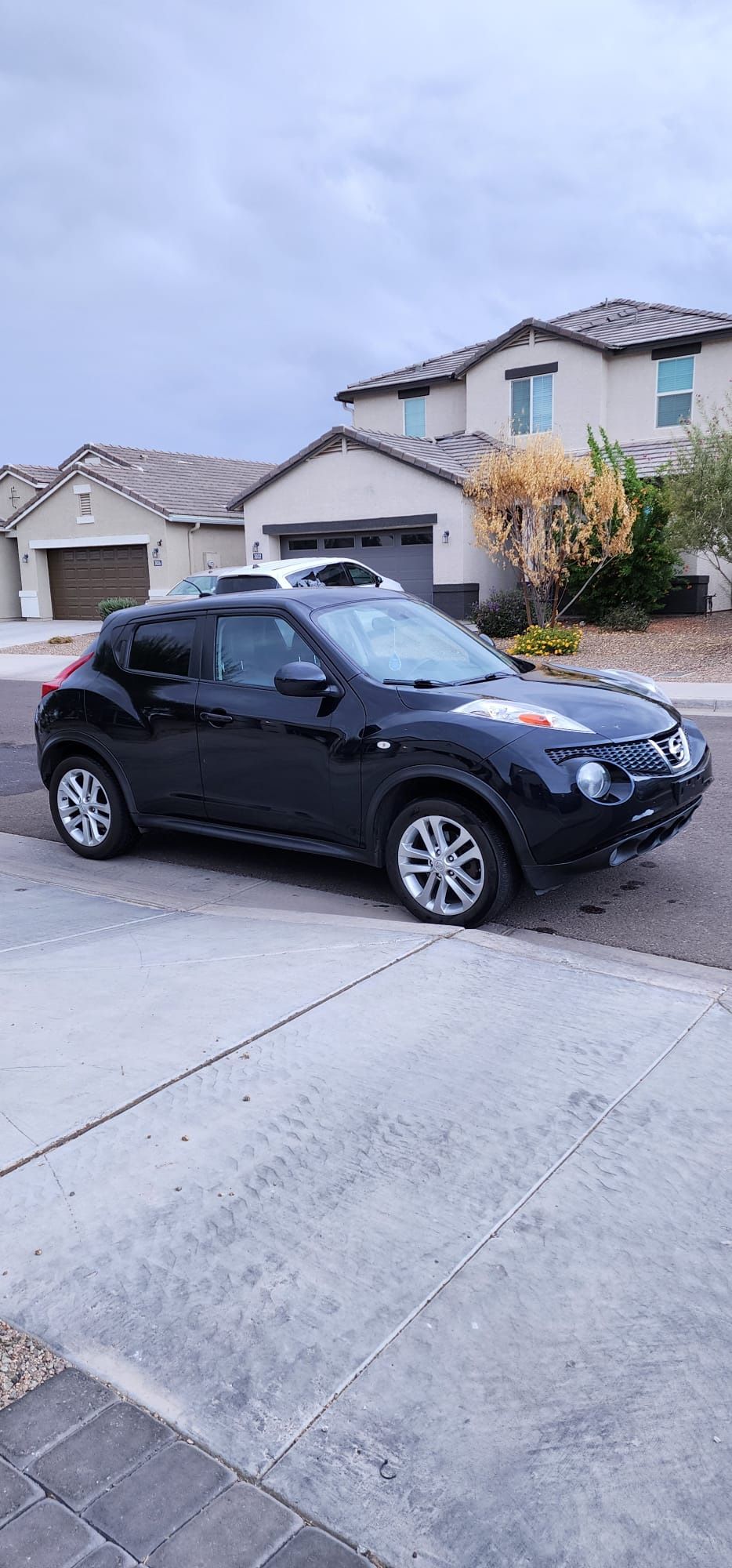 2012 Nissan Juke