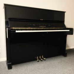 50” height Yamaha U2 Excellent piano! Free Delivery  