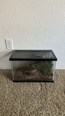 5 Gallon Terrarium For Reptile