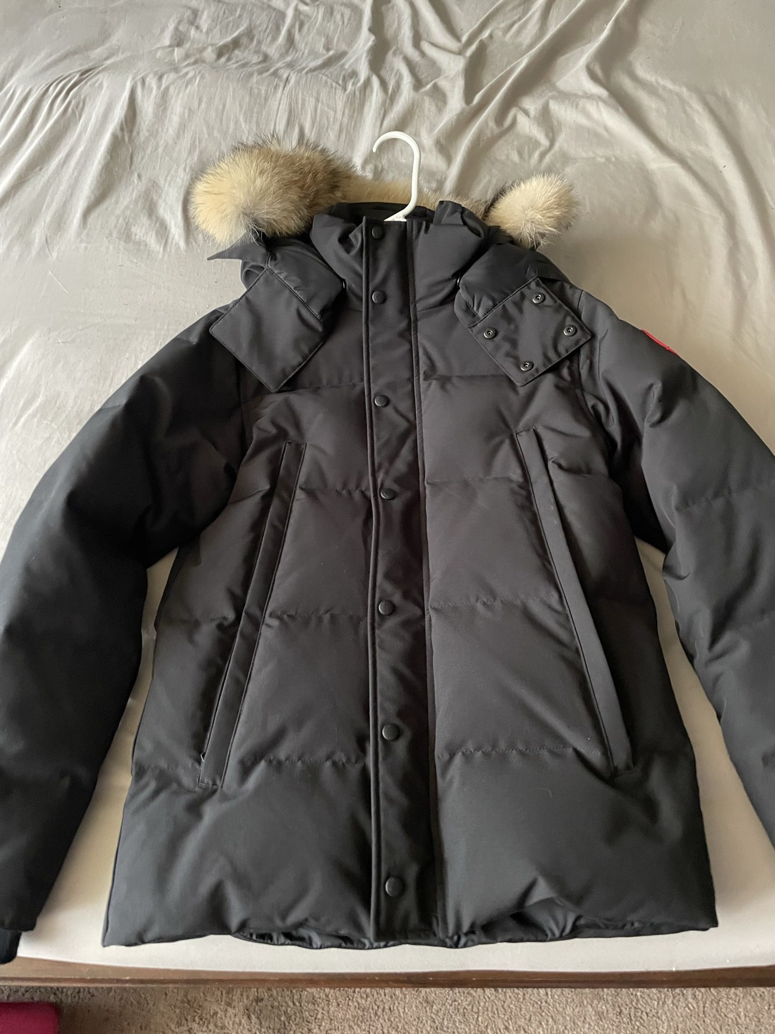 Canada Goose