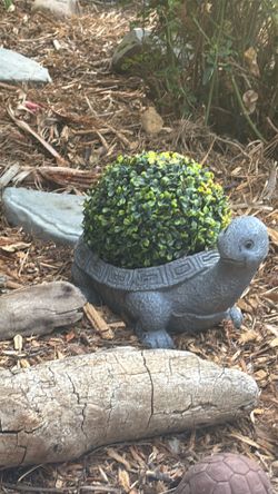 Garden turtle w Faus plant