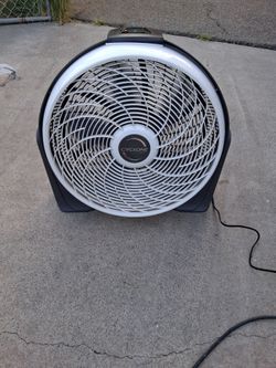 Fan