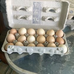 Orgánicos  (18 eggs for $10) (18 huevos por $10)