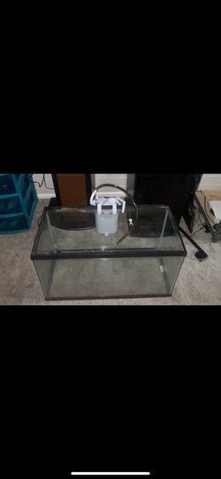 35 Gallon Tank