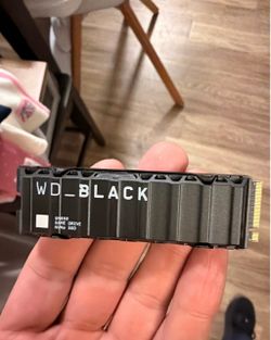 2TB SSD WB Black