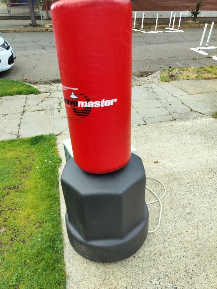 Wave Master Punching Bag