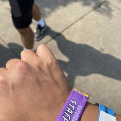Lollapalooza Staff/ All Access Passes 