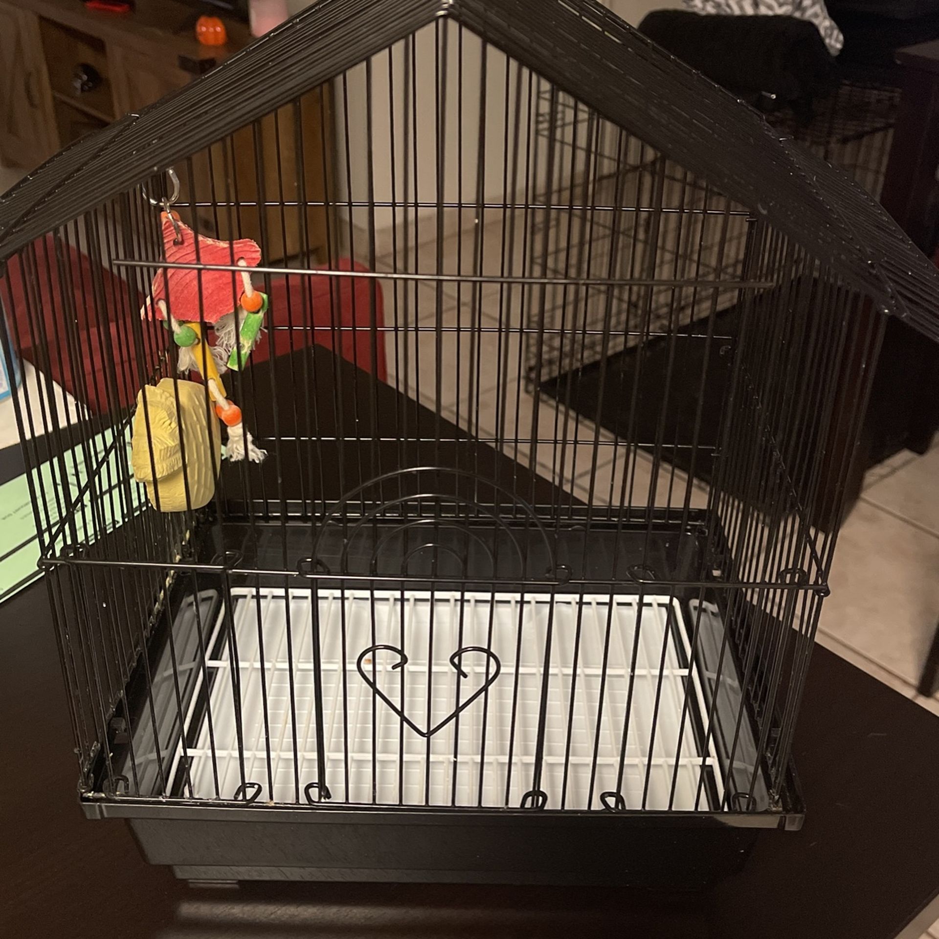 Bird Cage 