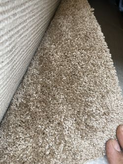 New Carpet