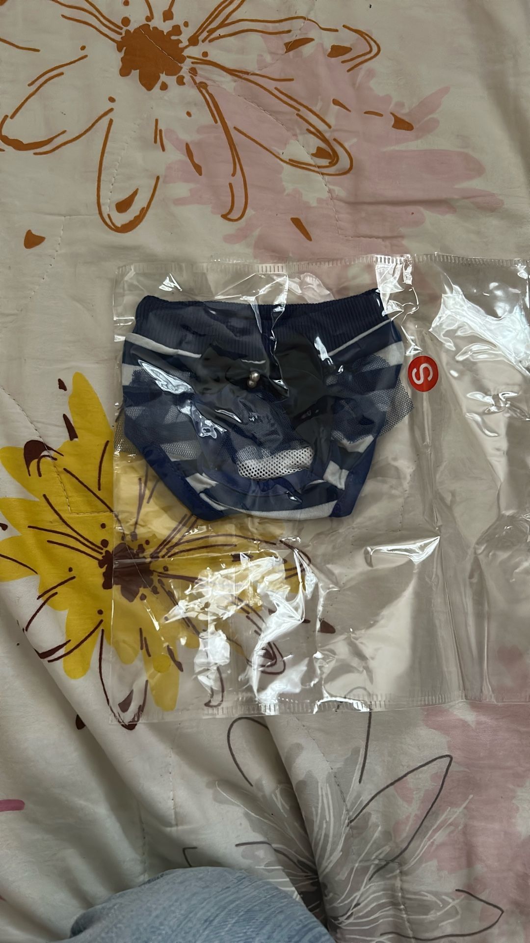 dog panties