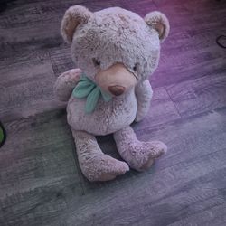 Big Soft Teddy Bear